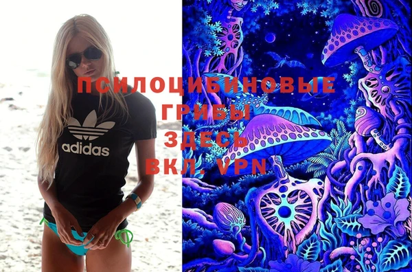 2c-b Новокубанск