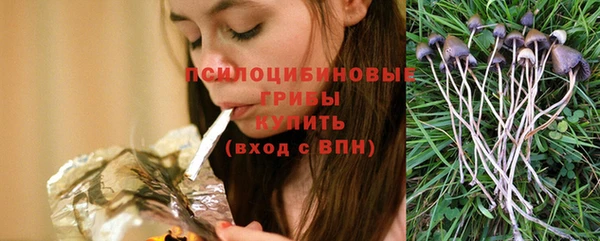 ECSTASY Гвардейск