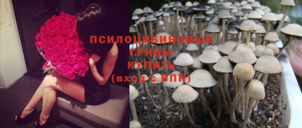 прущие крисы Нягань